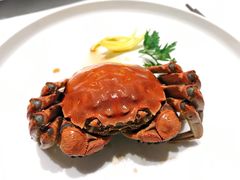 -扬州狮子楼·非遗淮扬菜(总店)