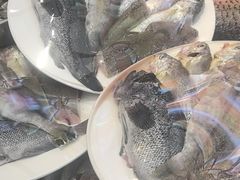 -五谷丰登·胶东海鲜·家常菜(张村店)