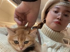 -lincat·猫舍(广州店)