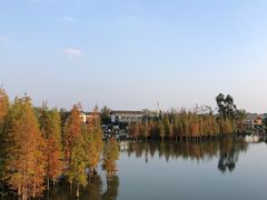 -白鹭湾湿地公园