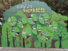 -上海佘山国家森林公园天马山园