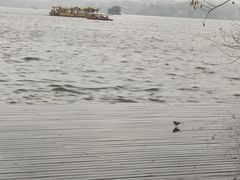 -西湖外事游船(花港观鱼码头)