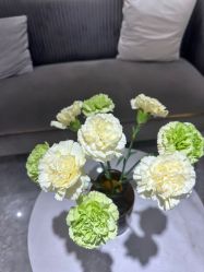 -MIDA蜜哒•科技逆龄美肤连锁