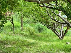 -野鸭湖国家湿地公园