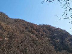-秦岭风景区
