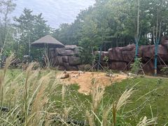 -武汉动物园