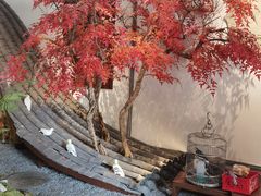 -蘭奢雅集·江浙菜(青山江滩店)