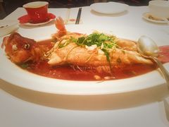 东星斑-香宫(九龙香格里拉店)
