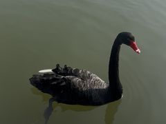 -安徽大学(龙河校区)