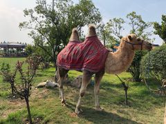 -华夏文旅海洋公园