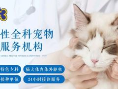 -康成宠物医院24H·CT·核磁共振