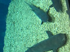 -华夏文旅西安度假区