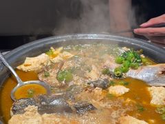 -探鱼·鲜青椒爽麻烤鱼(广州花都来又来店)