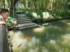 -乌村