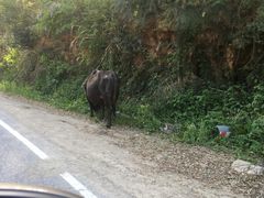 -藏龙百瀑风景区