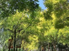 -南翠屏公园