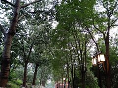 -西海子公园