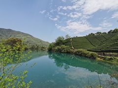 -龙坞茶村