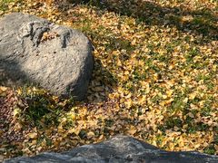 -汉长安城未央宫国家考古遗址公园