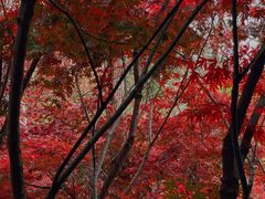 -崂山巨峰游览区