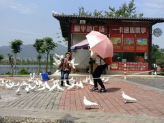 -飞来湖湿地公园