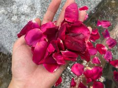-映月潭温泉