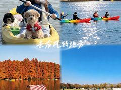 -上海海湾国家森林公园