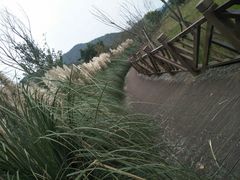 -贵阳市花溪国家城市湿地公园