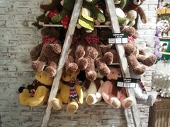 -济州岛泰迪熊博物馆