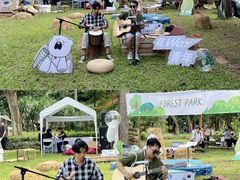 -南宁良凤江国家森林公园