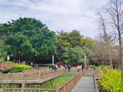 -五缘湾湿地公园