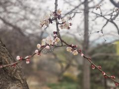 -北京西山国家森林公园