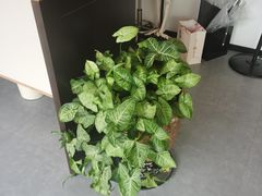 -沁欣堂推拿艾灸