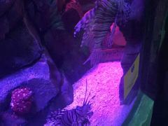 -沈阳海洋探索中心