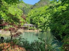 -滕州微山湖红荷湿地景区