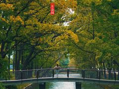 -苏州东太湖生态园