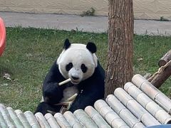 -石家庄市动物园