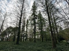 -宝岩生态观光园