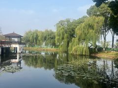 -金银湖国家城市湿地公园