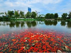 -西海子公园