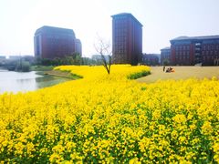 -浙江大学(紫金港校区)