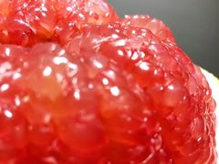 -西郊国际农产品交易中心