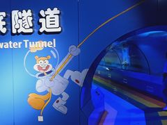 -重庆欢乐海底世界