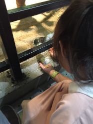 -酷嗒动物文化乐园(cutezoo西溪乐天城店)