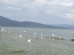 -大理洱海