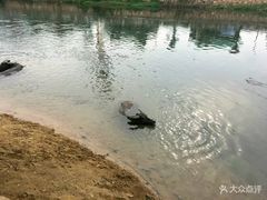 -杭州双溪漂流景区