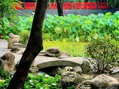 -莲湖公园