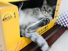 -山姆会员商店(邻瑞广场店)