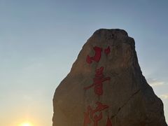 -小普陀