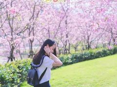 -福建鲤鱼洲酒店